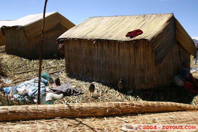 Lago Tititaca - Islas Flotantes de los Uros
Mots-clés: peru Roseau