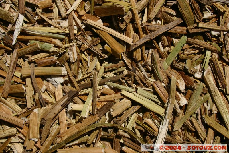 Lago Tititaca - Islas Flotantes de los Uros
Mots-clés: peru Roseau