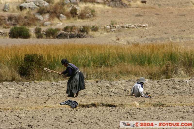Lac Titicaca - Bahia de Copacabana - Paysans
