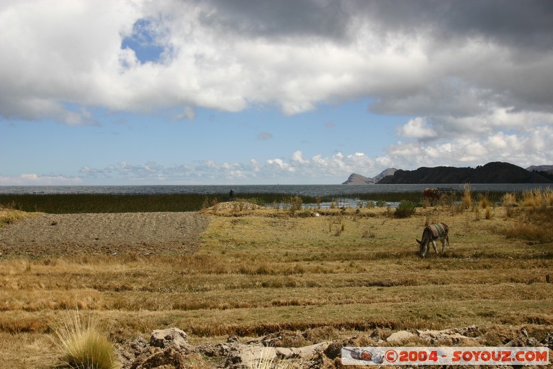 Lac Titicaca - Bahia de Copacabana
