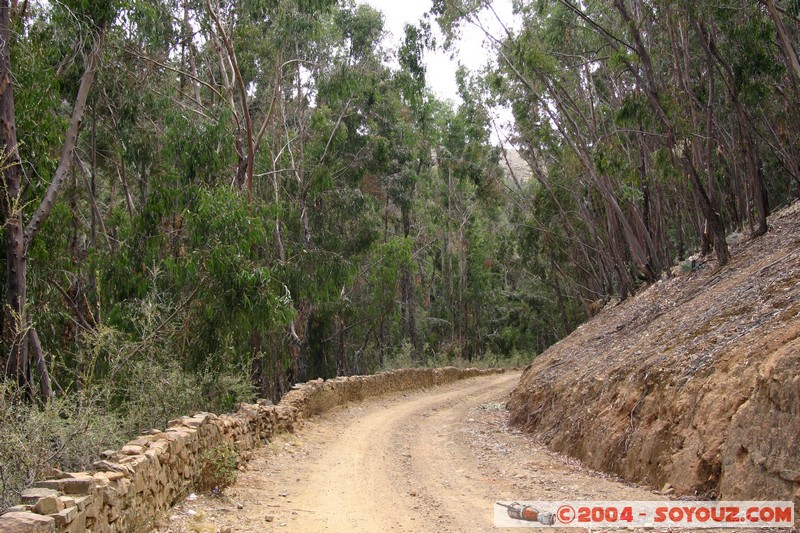Lac Titicaca - Bahia de Copacabana
