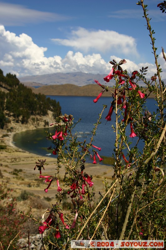 Lac Titicaca - Bahia de Copacabana
Mots-clés: Lac