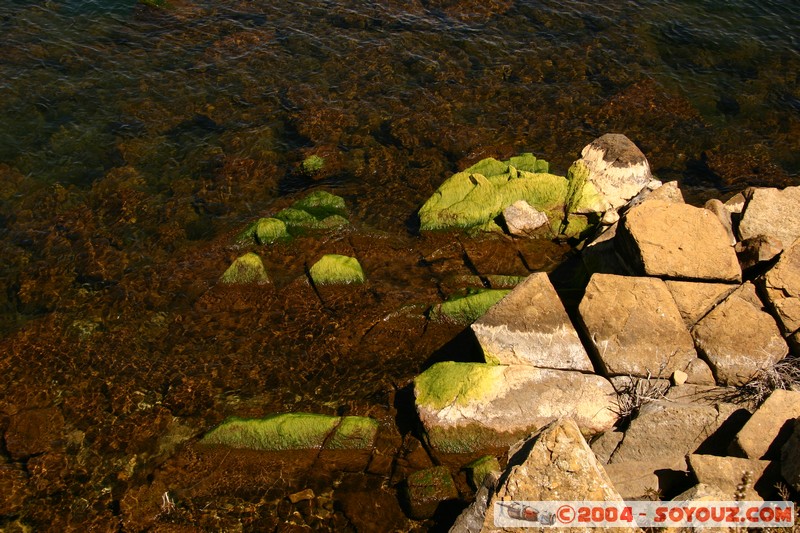 Isla del Sol
Mots-clés: Lac