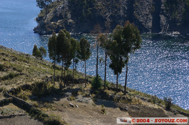 Isla del Sol
Mots-clés: Lac