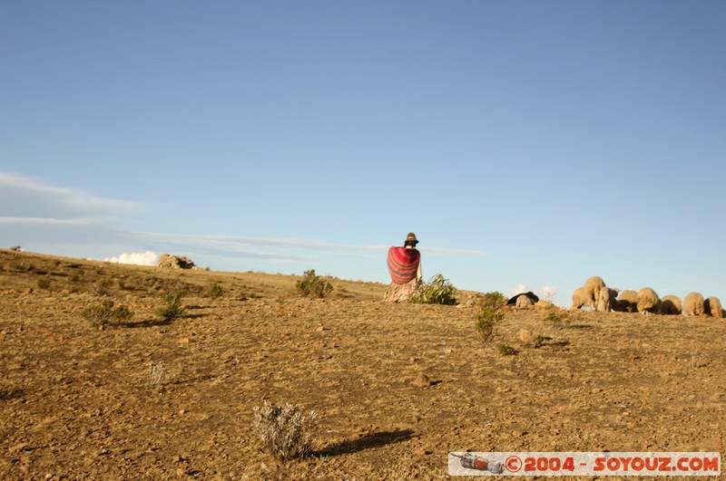 Isla del Sol
Mots-clés: sunset