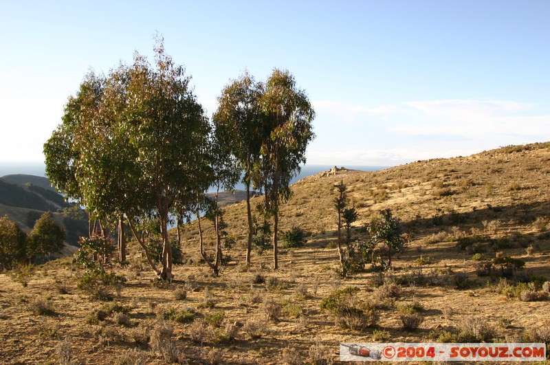 Isla del Sol
Mots-clés: sunset