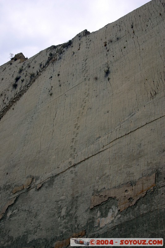 Sucre - Parque Cretacico Cal Orko
Mots-clés: Fossile