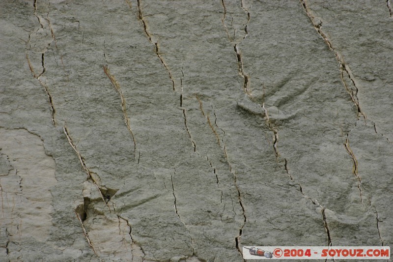 Sucre - Parque Cretacico Cal Orko
Mots-clés: Fossile