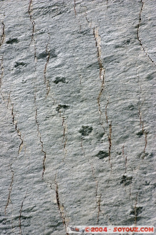 Sucre - Parque Cretacico Cal Orko
Mots-clés: Fossile