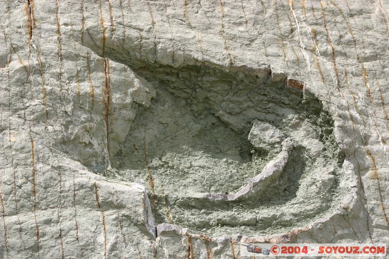 Sucre - Parque Cretacico Cal Orko
Mots-clés: Fossile