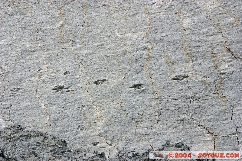 Sucre - Parque Cretacico Cal Orko
Mots-clés: Fossile