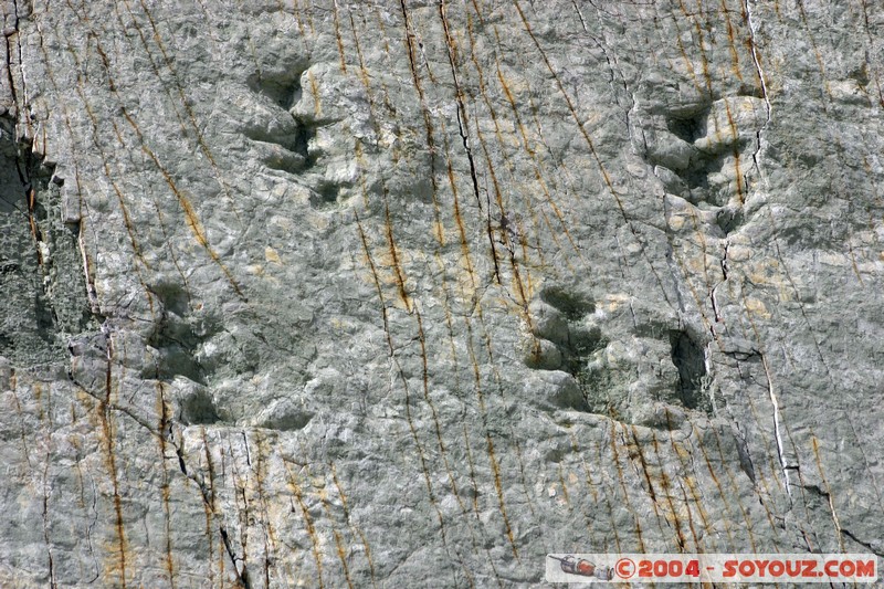 Sucre - Parque Cretacico Cal Orko
Mots-clés: Fossile