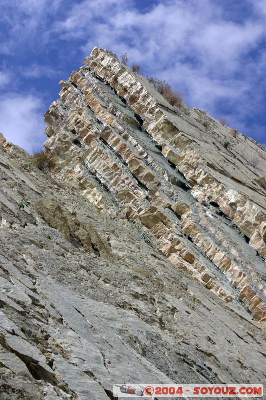 Sucre - Parque Cretacico Cal Orko
Mots-clés: Fossile