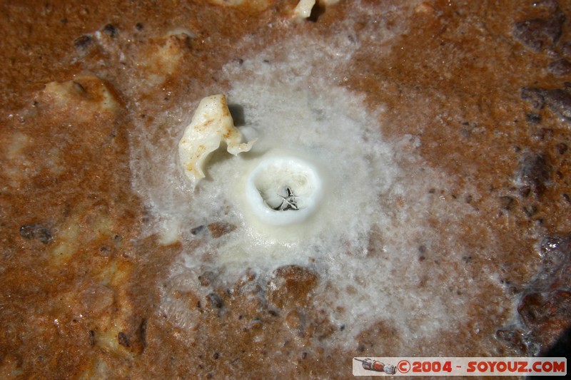 Salar de Uyuni - Jeux de couleurs minerales
