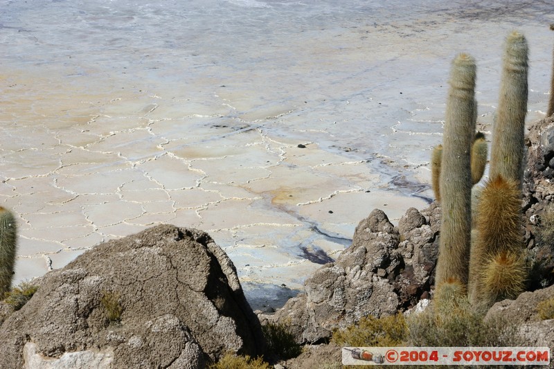 Isla Pescado (or Incahuasi)
