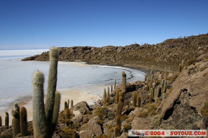 Isla Pescado (or Incahuasi)
