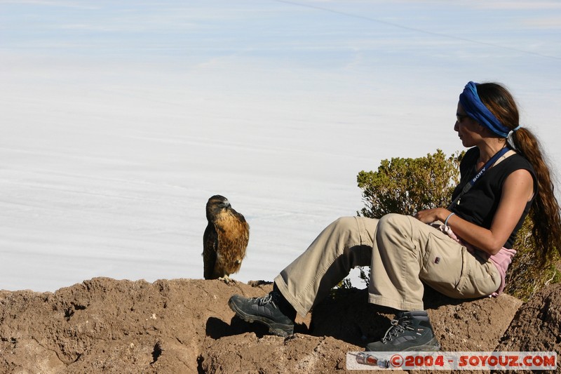 Isla Pescado (or Incahuasi) - Aigle
Mots-clés: animals oiseau Aigle
