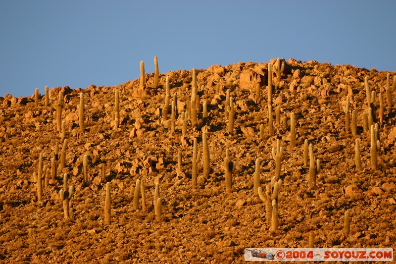 Bella Vista - Lever de Soleil
Mots-clés: sunset