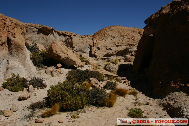 zone du Volcan Ollague
