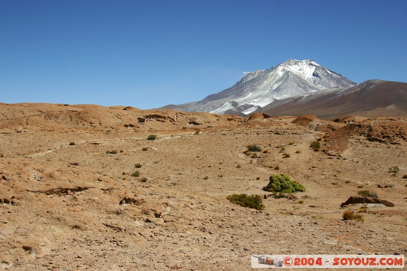 Volcan Ollague
