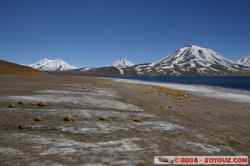 Reserva Nacional Los Flamencos - Laguna Miscanti
Mots-clés: chile Lac Montagne