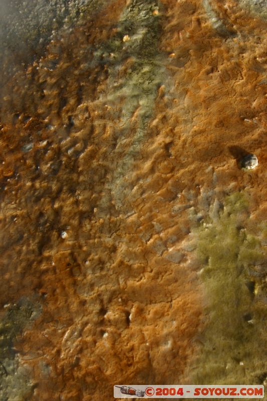 Los Geiseres del Tatio
Mots-clés: chile geyser