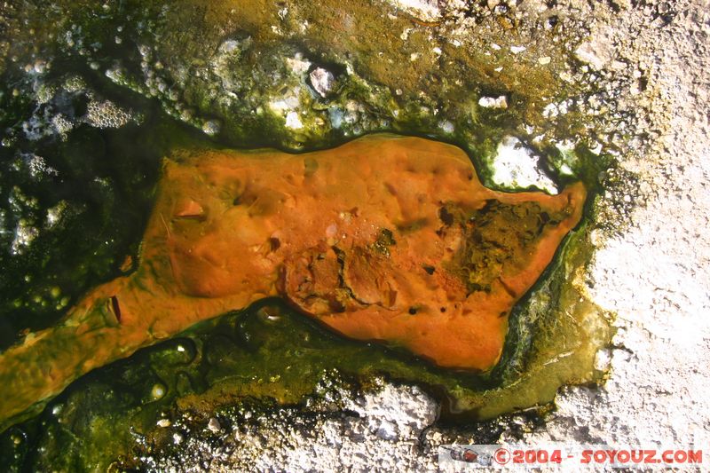 Los Geiseres del Tatio
Mots-clés: chile geyser