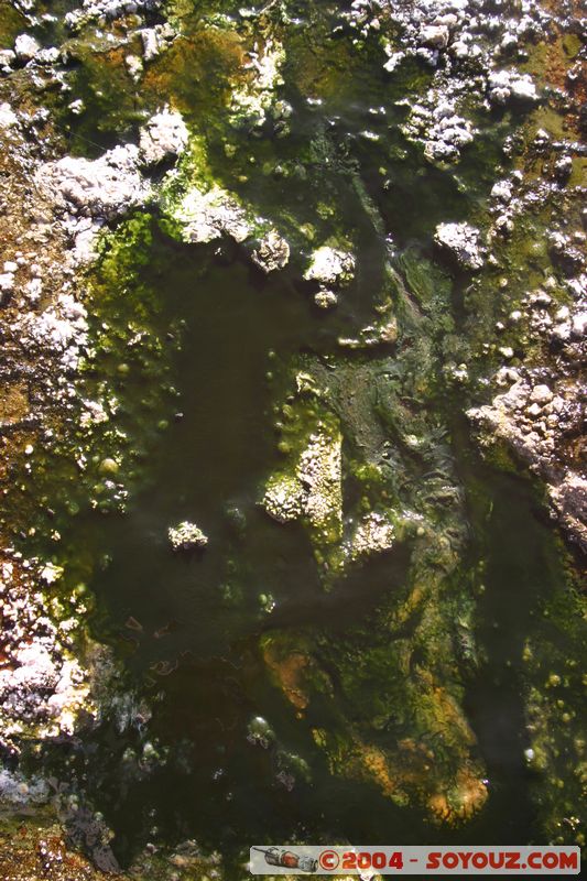 Los Geiseres del Tatio
Mots-clés: chile geyser