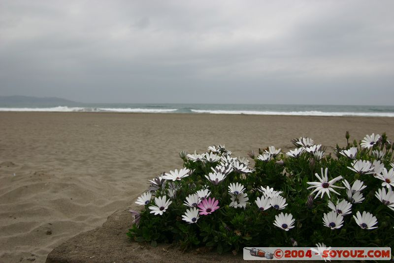 La Serena - La plage
Mots-clés: chile