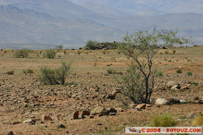 La Silla
Mots-clés: chile