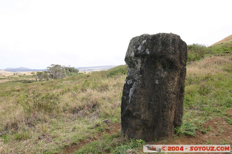 Ile de Paques - Rano Raraku - Carriere des moai
Mots-clés: chile Ile de Paques Easter Island patrimoine unesco Moai animiste sculpture