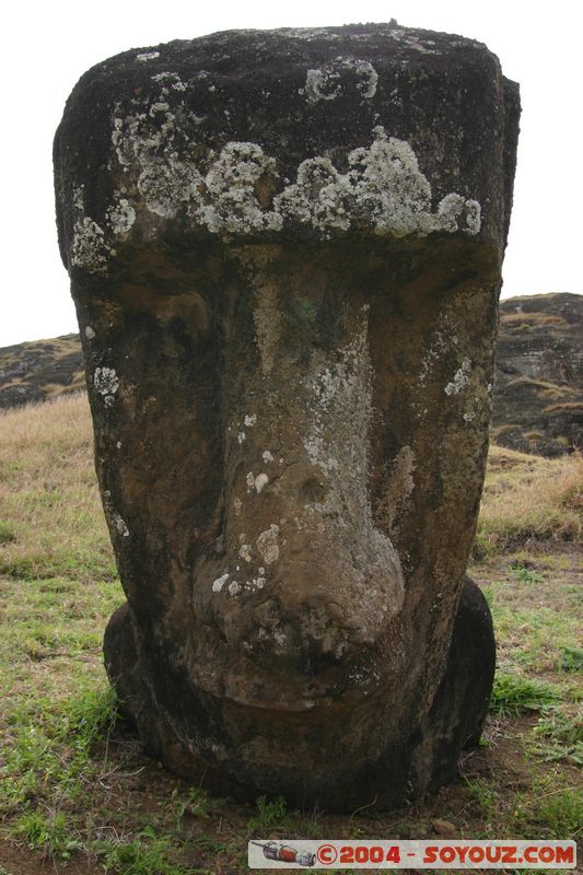 Ile de Paques - Rano Raraku - Carriere des moai
Mots-clés: chile Ile de Paques Easter Island patrimoine unesco Moai animiste sculpture