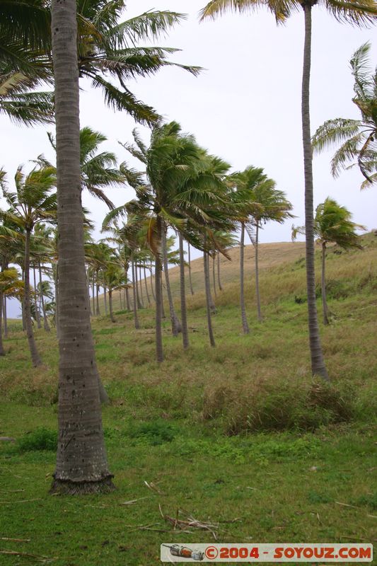 Ile de Paques - Anakena
Mots-clés: chile Ile de Paques Easter Island patrimoine unesco plage