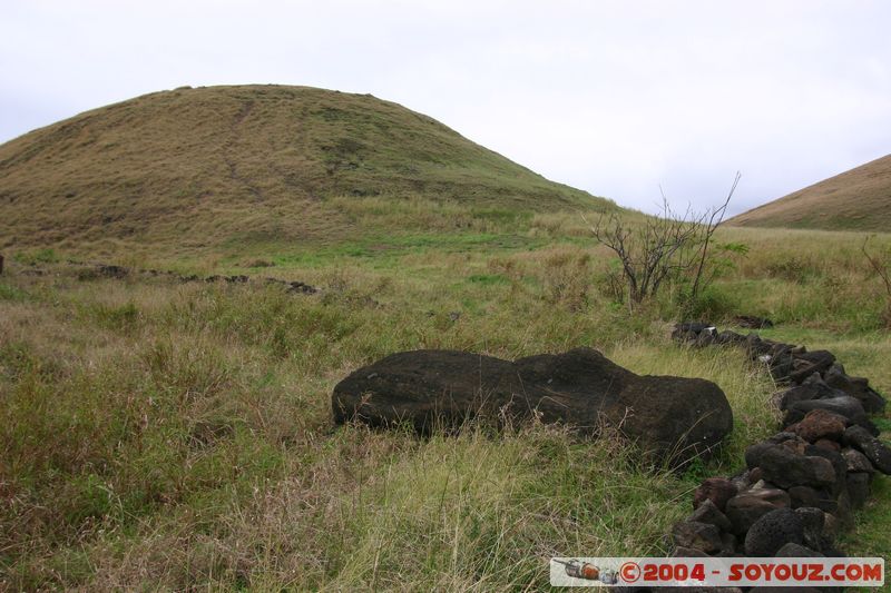 Ile de Paques - Anakena - Moai
Mots-clés: chile Ile de Paques Easter Island patrimoine unesco Moai animiste sculpture