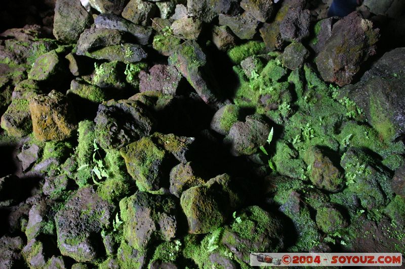 Ile de Paques - Ana Te Pahu
Mots-clés: chile Ile de Paques Easter Island patrimoine unesco grotte