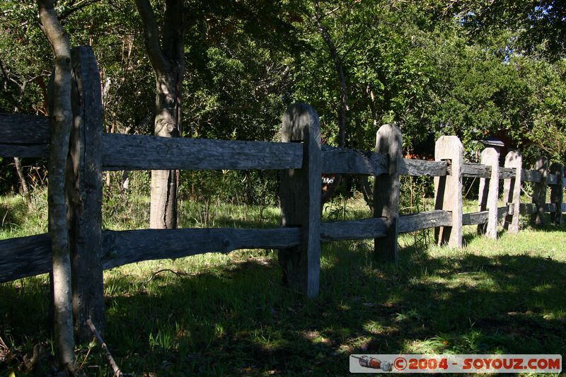 Pucon
Mots-clés: chile