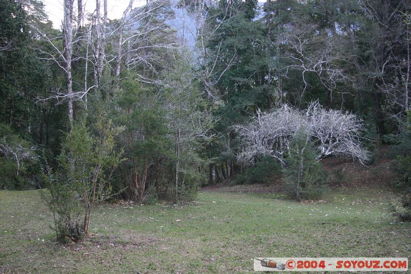 Ojos del Caburgua
Mots-clés: chile