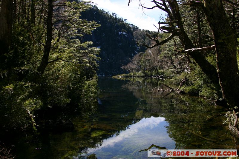 Parque Nacional Huerquehue - Lago Chico
Mots-clés: chile Lac Arbres