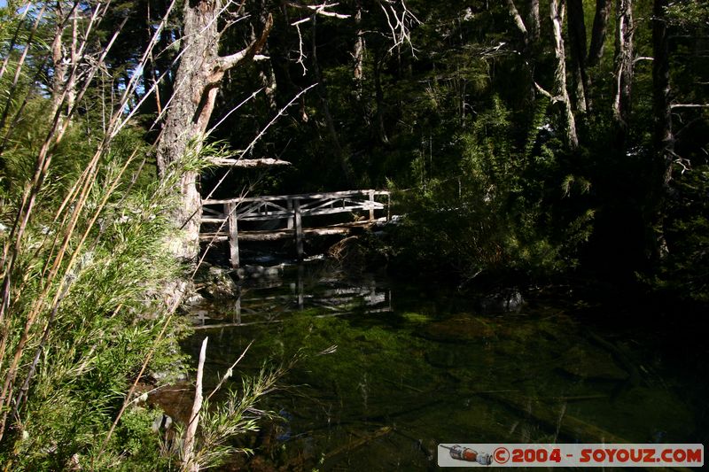 Parque Nacional Huerquehue - Lago Chico
Mots-clés: chile Pont Lac Arbres