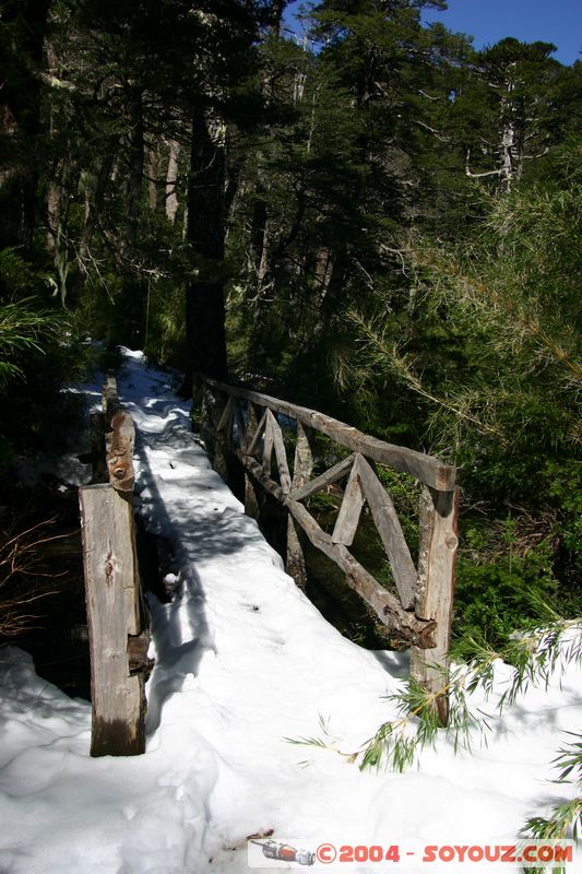 Parque Nacional Huerquehue
Mots-clés: chile Pont Neige