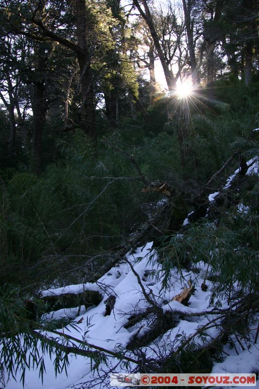 Parque Nacional Huerquehue
Mots-clés: chile