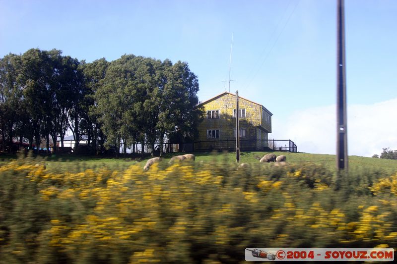 Chonchi
Mots-clés: chile