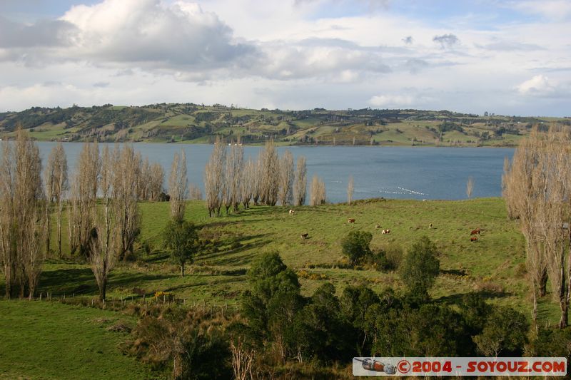 Castro
Mots-clés: chile paysage