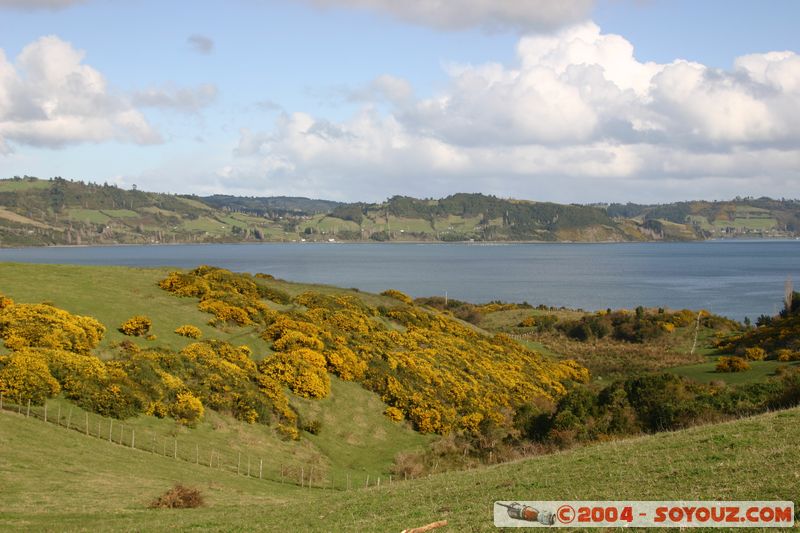 Castro
Mots-clés: chile paysage