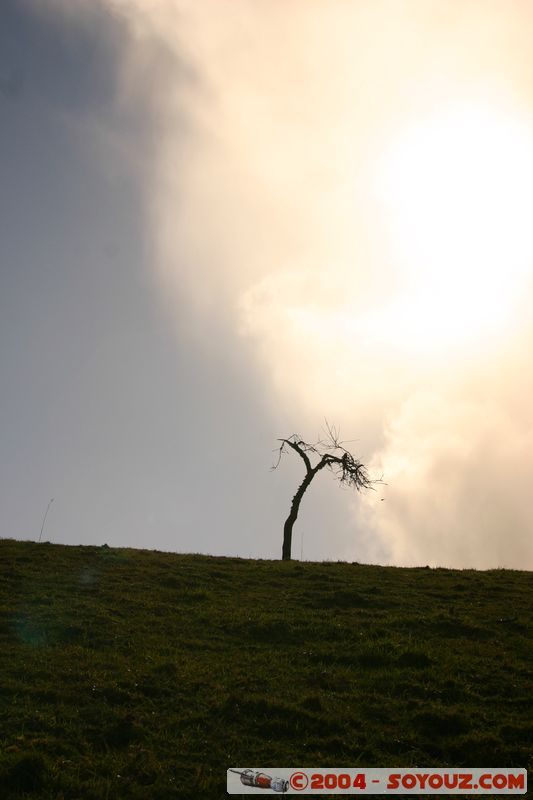 Castro
Mots-clés: chile sunset paysage