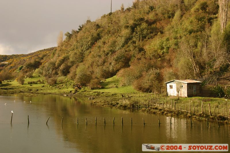 Castro
Mots-clés: chile paysage