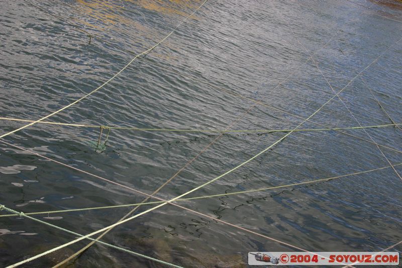 Ancud
Mots-clés: chile Insolite