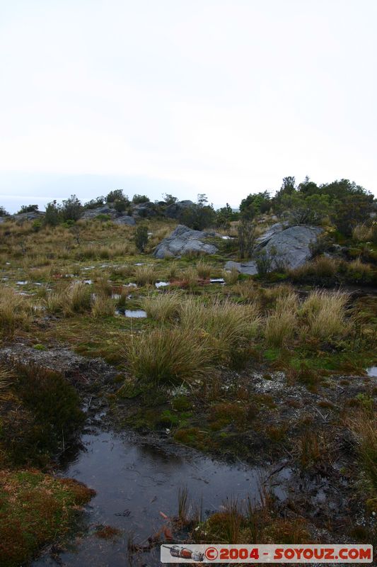 Canales Patagonicos - Puerto Eden
Mots-clés: chile