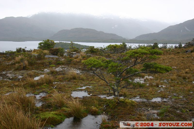 Canales Patagonicos - Puerto Eden
Mots-clés: chile