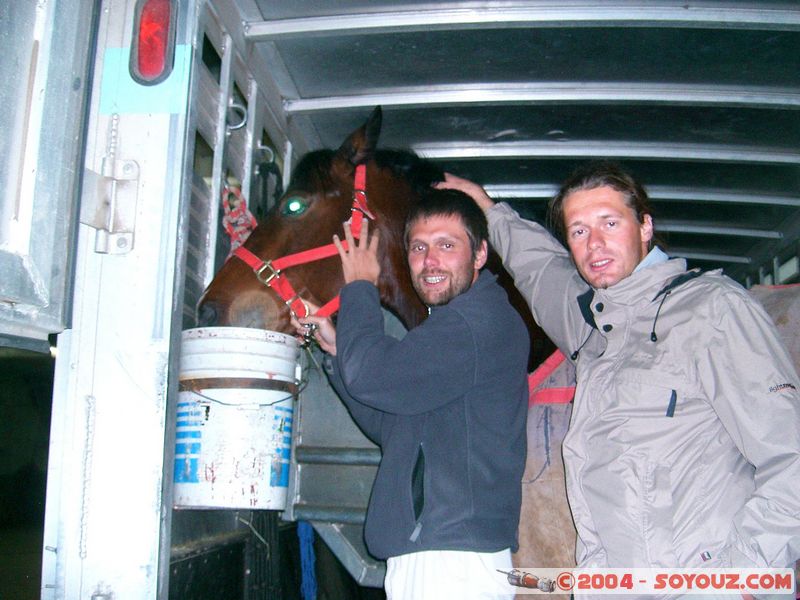 Croisiere Navimag
Mots-clés: chile animals cheval